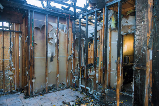 Professional Structural Rebuild technician working in Crestwood, KY